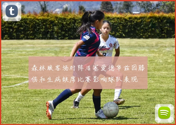森林狼客场对阵活塞爱德华兹因膝伤和生病缺席比赛影响球队表现
